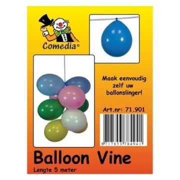 balloon vine