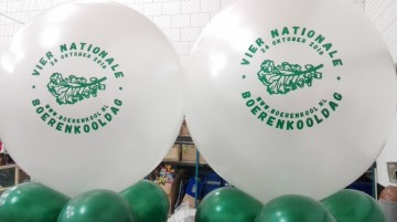 ballonnen pilaren of ballonpilaar