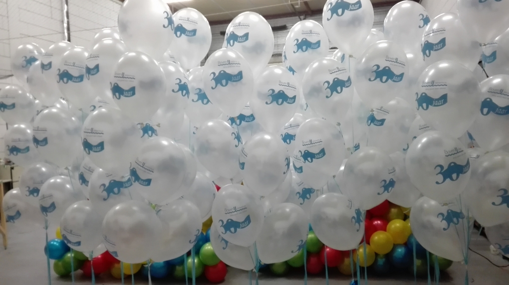 Pedagogie Aanbod Vooruitzicht helium ballonnen v.a. € 1,45 p.st. - ballonnen decoraties - ballonnen, helium  ballonnen, ballonnenboog, ballonnenpilaar, ballonnen decoraties