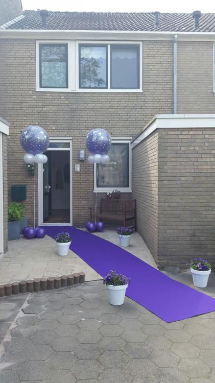 reuze ballonnen zaandam